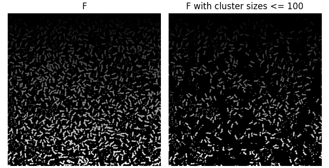 Final processed image showing only the correctly identified and sized cricket clusters.