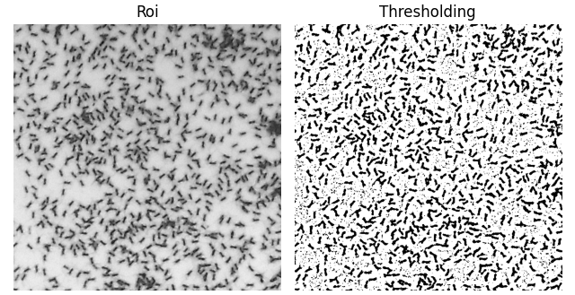 Comparison of the original grayscale ROI and the binary image obtained after adaptive thresholding.