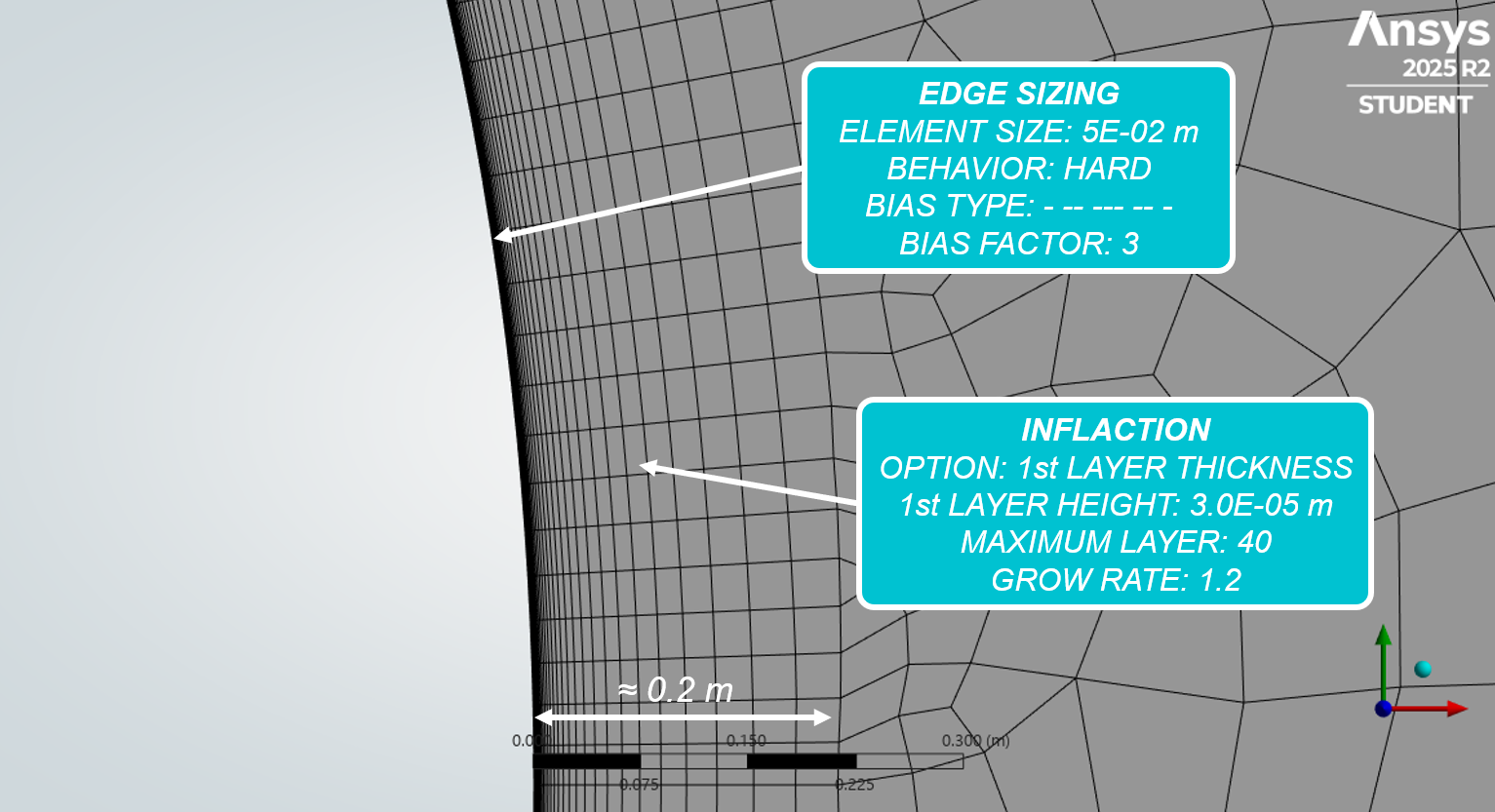 ANSYS Fluent global mesh domain setup and boundary conditions for the 2D cylinder.